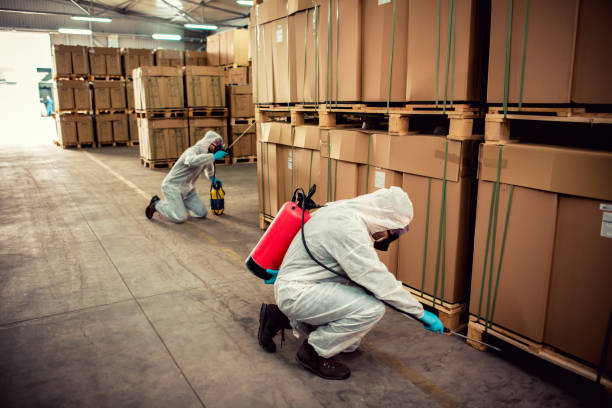 Trusted Escanaba, MI Pest Control Experts