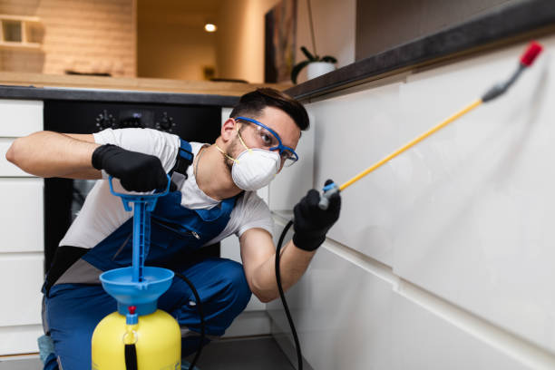  Escanaba, MI Pest Control Pros