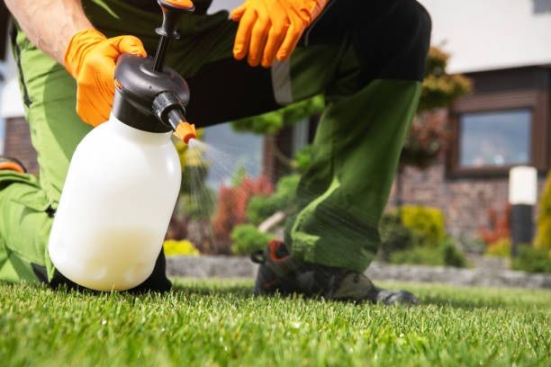 Best Wasp Removal Services  in Escanaba, MI